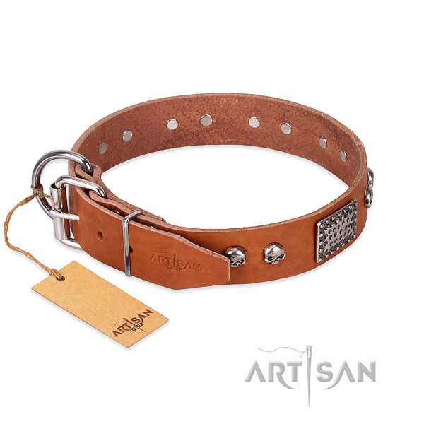 Corrosion resistant buckle on everyday walking dog collar