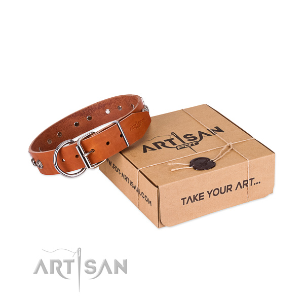 Rust resistant traditional buckle on dog collar for comfortable wearing