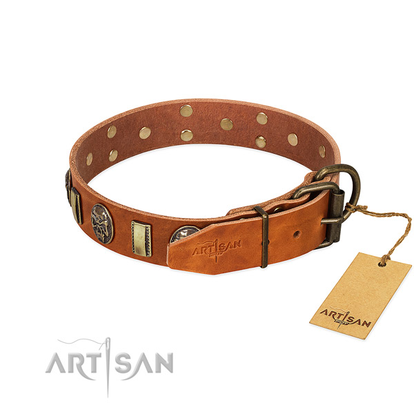 Rust resistant hardware on full grain natural leather collar for fancy walking your dog