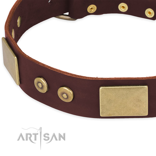 Genuine leather dog collar with decorations for daily use