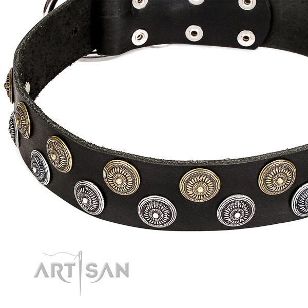 Everyday use embellished dog collar of durable natural leather