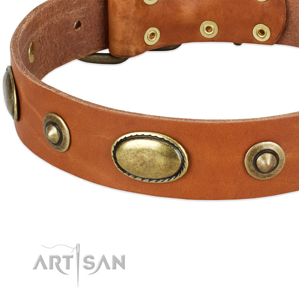 Rust resistant traditional buckle on full grain leather dog collar for your four-legged friend