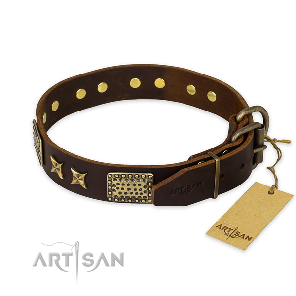 Rust-proof traditional buckle on leather collar for your beautiful canine