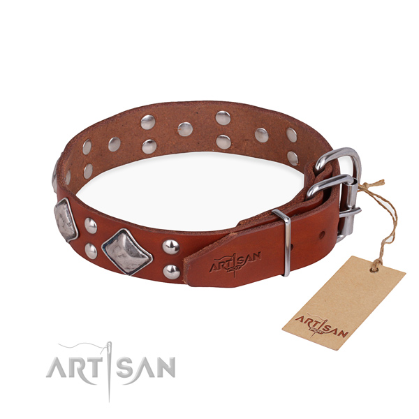 Leather dog collar with amazing rust resistant adornments