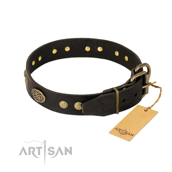 Corrosion proof studs on full grain leather dog collar for your doggie