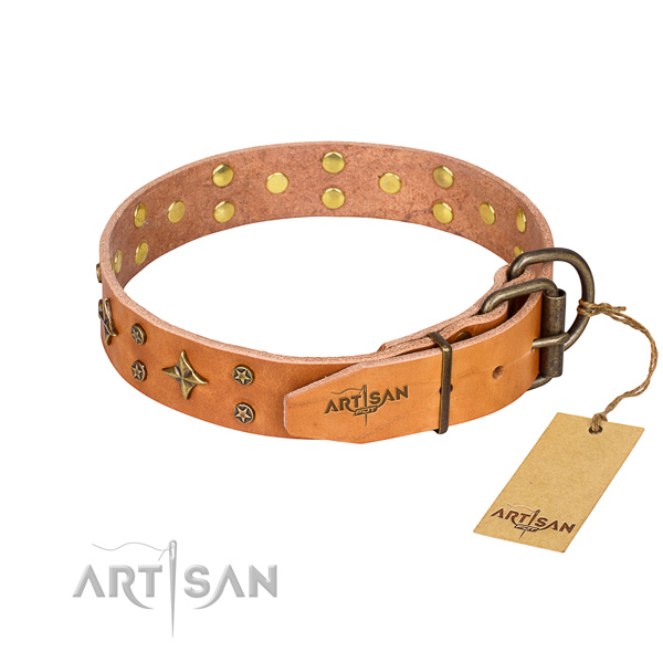 Everyday use embellished dog collar of durable full grain leather