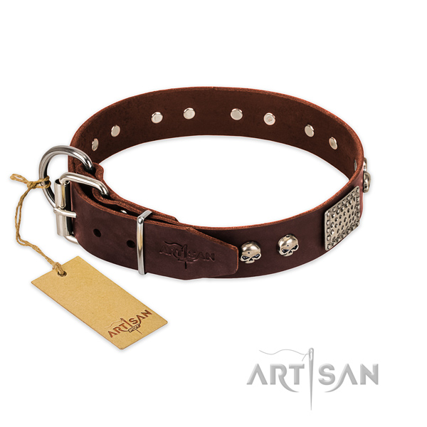 Rust resistant D-ring on basic training dog collar