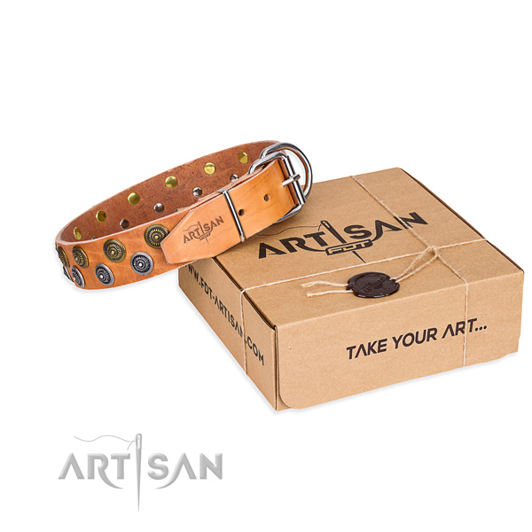 Daily walking dog collar of reliable genuine leather with adornments