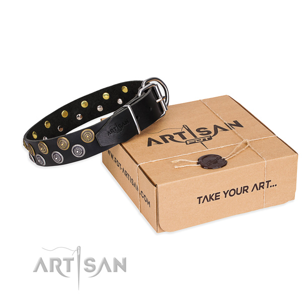 Walking dog collar of top notch natural leather with embellishments
