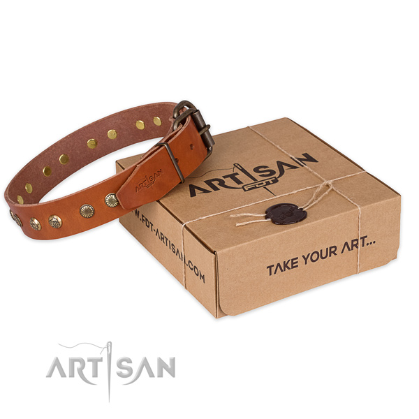 Corrosion resistant traditional buckle on full grain leather collar for your beautiful four-legged friend