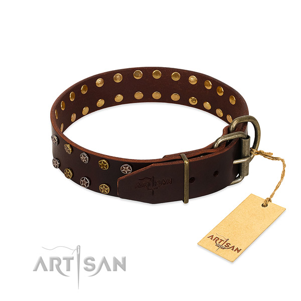 Walking full grain genuine leather dog collar with extraordinary adornments