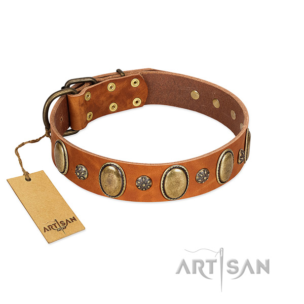 Stylish walking top rate genuine leather dog collar with decorations