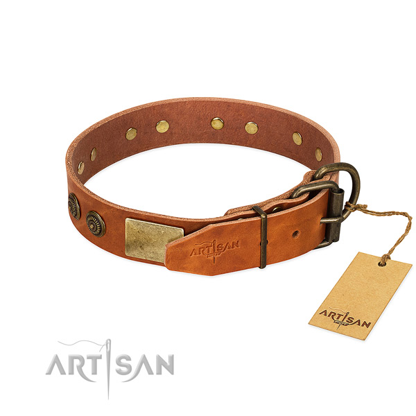 Rust resistant D-ring on genuine leather collar for stylish walking your canine