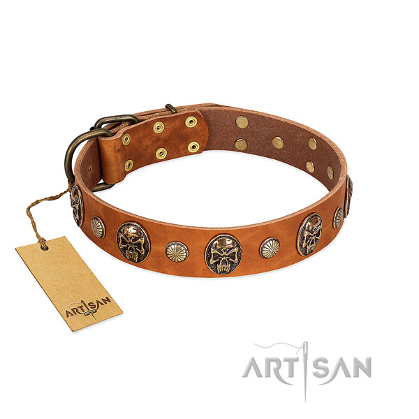 Remarkable full grain genuine leather dog collar for basic training