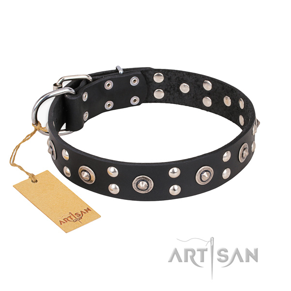 Walking embellished dog collar with rust-proof traditional buckle