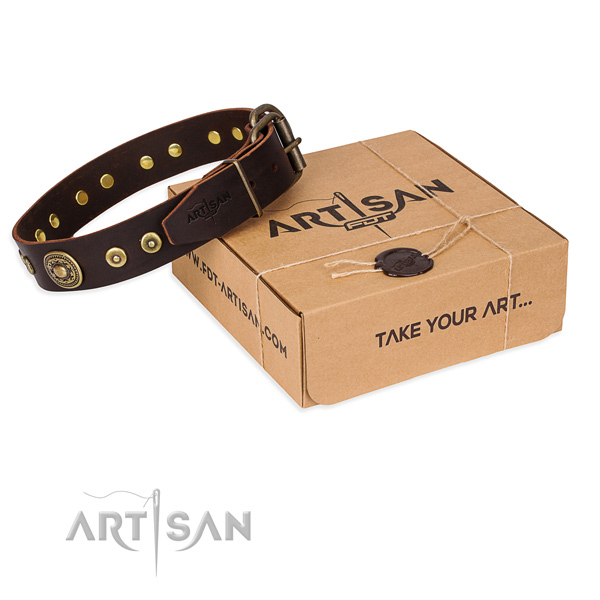 Full grain leather dog collar made of quality material with corrosion proof traditional buckle
