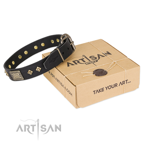 Exceptional full grain natural leather collar for your beautiful dog