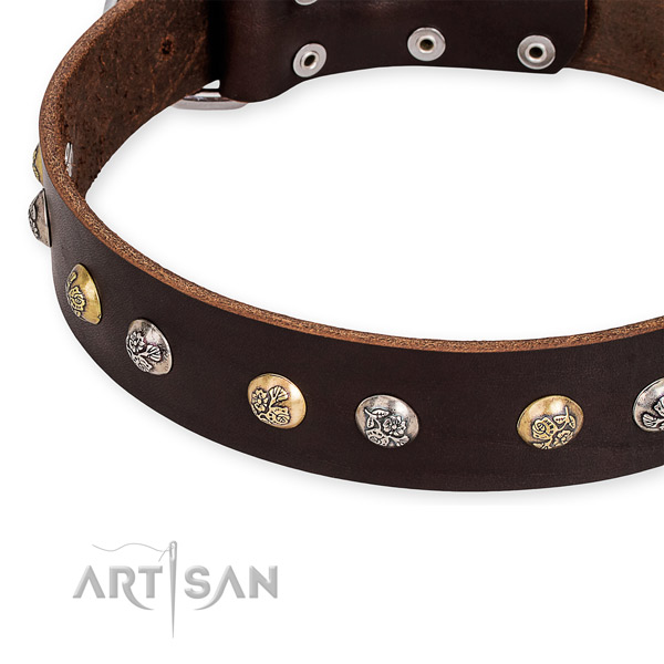 Full grain genuine leather dog collar with significant reliable decorations