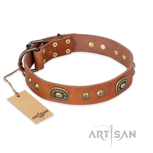 Studded natural leather dog collar for stylish walking