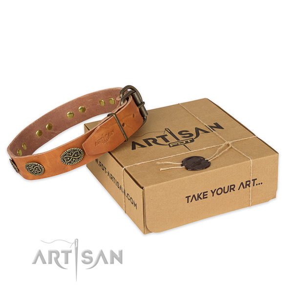 Durable buckle on full grain leather collar for your beautiful canine
