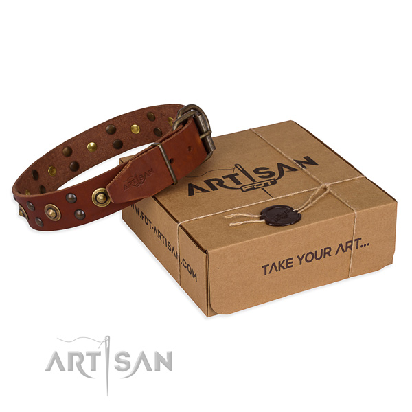 Durable fittings on full grain leather collar for your lovely canine