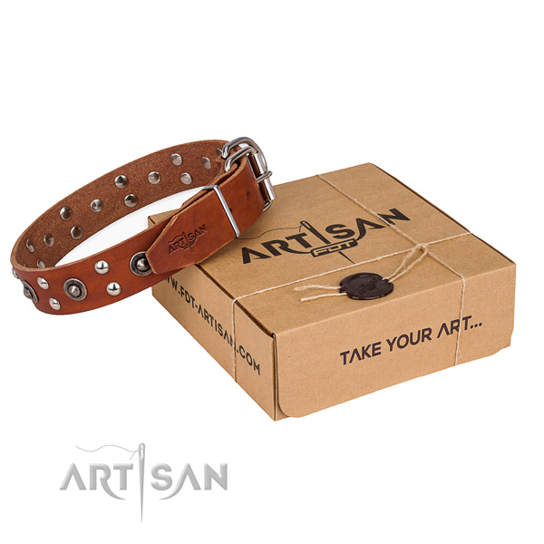 Corrosion proof D-ring on full grain genuine leather collar for your stylish doggie
