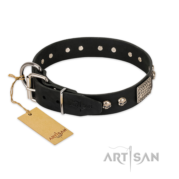 Reliable decorations on everyday use dog collar