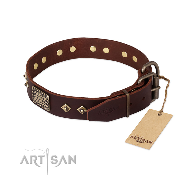 Full grain natural leather dog collar with corrosion proof hardware and adornments