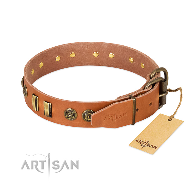 Rust-proof embellishments on full grain leather dog collar for your doggie