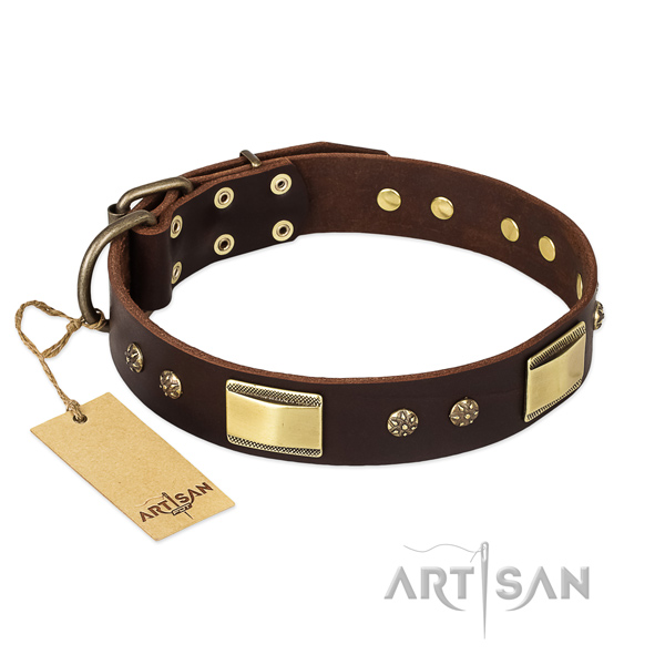 Full grain genuine leather dog collar with reliable buckle and adornments