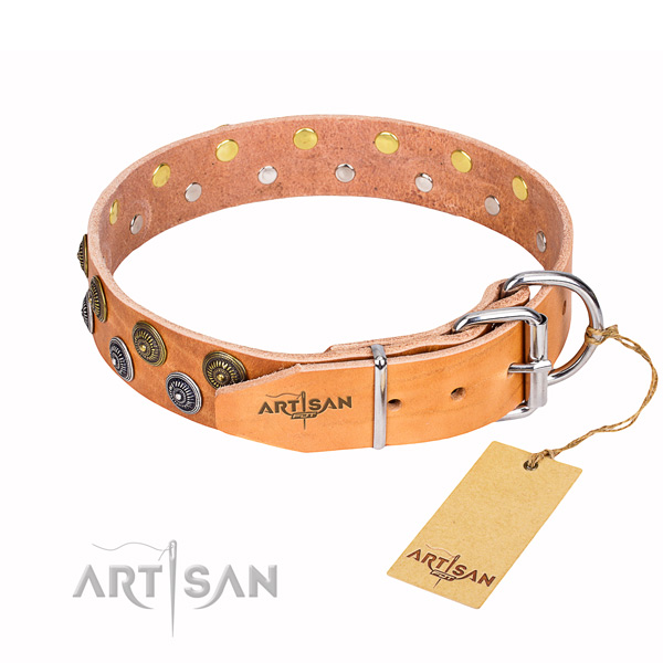 Walking decorated dog collar of strong full grain leather