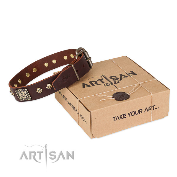 Top quality full grain genuine leather collar for your attractive pet