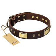 "Rich Fashion" FDT Artisan Decorated Leather dog Collar with Plates and Studs "Rich Fashion" FDT Artisan Decorated Leather dog Collar with Plates and Studs