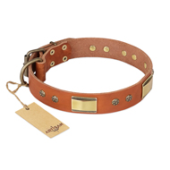 "Enchanting Spectacle" FDT Artisan Tan Leather dog Collar with Old Bronze Look Plates and Round Studs "Enchanting Spectacle" FDT Artisan Tan Leather dog Collar with Old Bronze Look Plates and Round Studs
