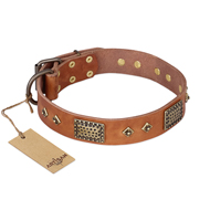 "Catchy Look" FDT Artisan Decorated Tan Leather dog Collar "Catchy Look" FDT Artisan Decorated Tan Leather dog Collar