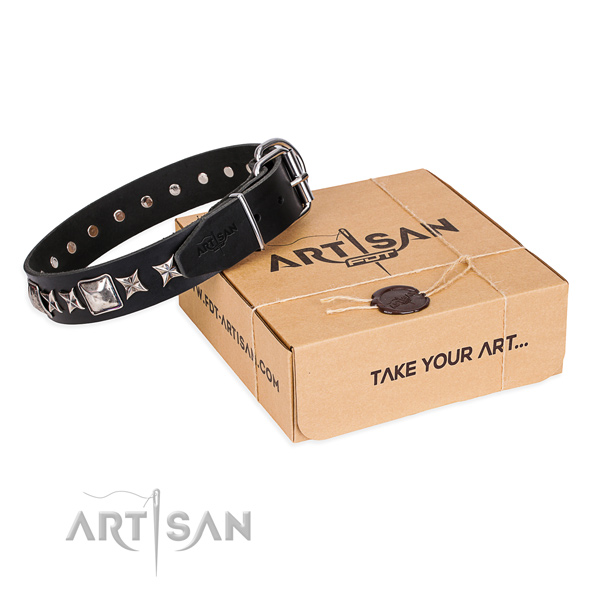 Everyday use dog collar of top notch natural leather with embellishments