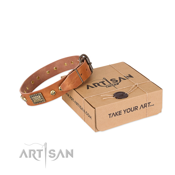 Rust-proof decorations on dog collar for daily walking