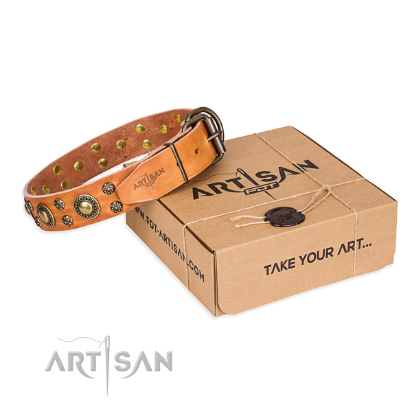Daily walking dog collar of high quality natural leather with adornments