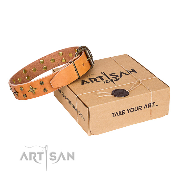 Walking dog collar of high quality leather with studs