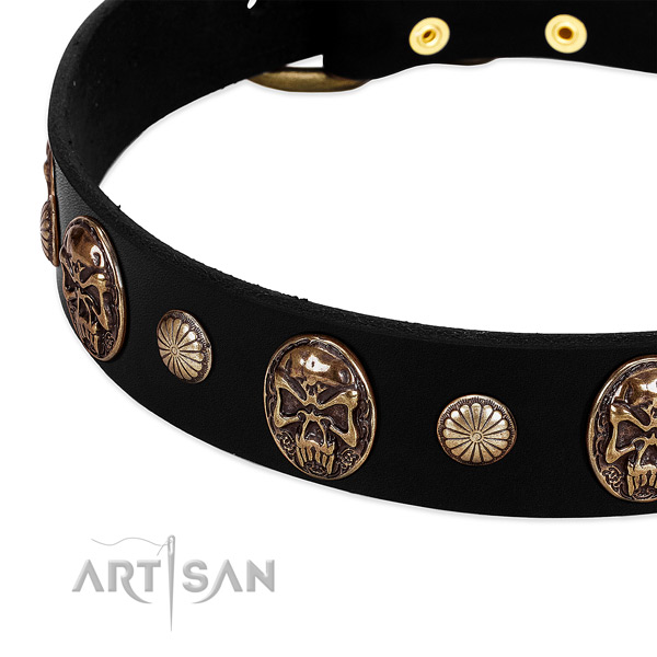 Genuine leather dog collar with inimitable adornments