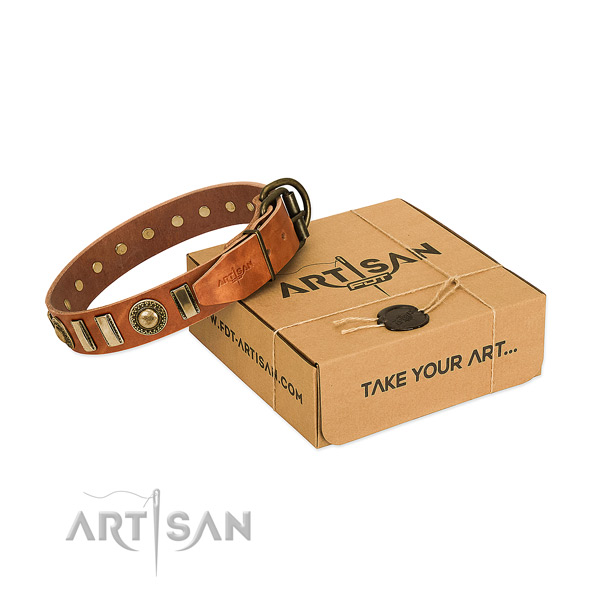 Reliable full grain leather dog collar with rust-proof fittings