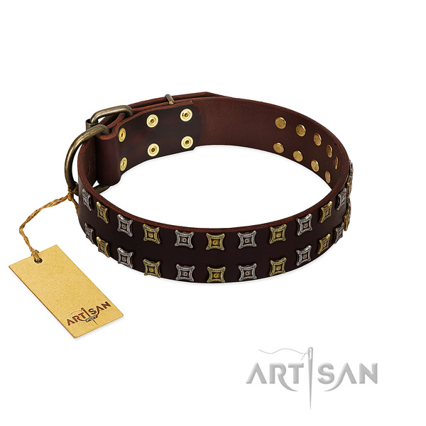 Top rate full grain natural leather dog collar with adornments for your dog