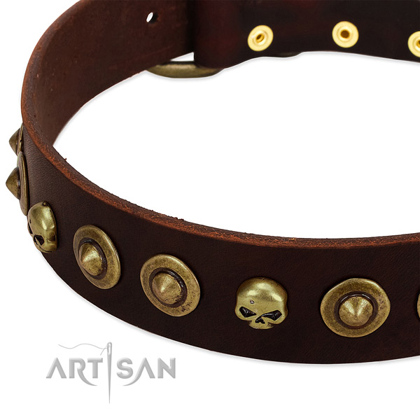 Exquisite studs on full grain leather collar for your pet