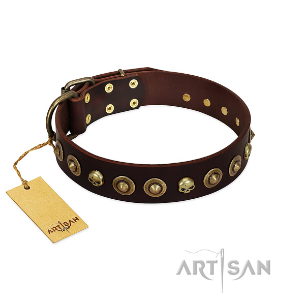 Full grain genuine leather collar with impressive decorations for your canine