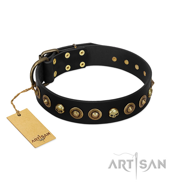 Full grain natural leather collar with exceptional adornments for your canine