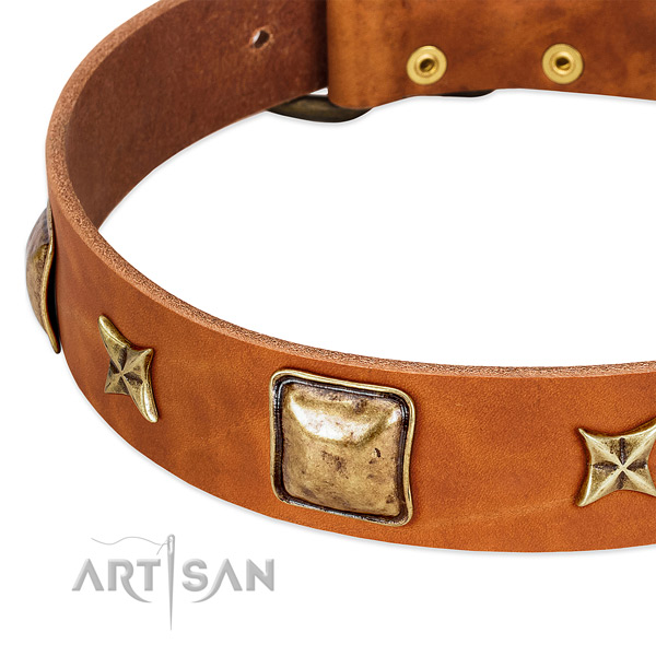 Rust-proof fittings on natural genuine leather dog collar for your canine