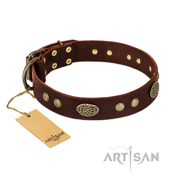 Reliable decorations on full grain leather dog collar for your four-legged friend