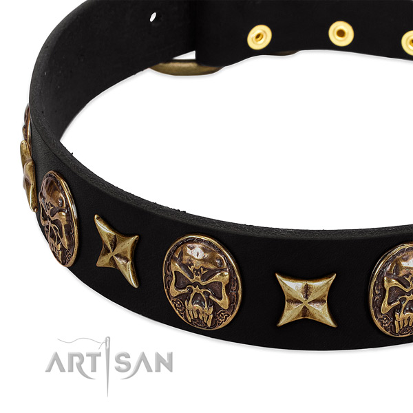 Reliable embellishments on full grain natural leather dog collar for your four-legged friend