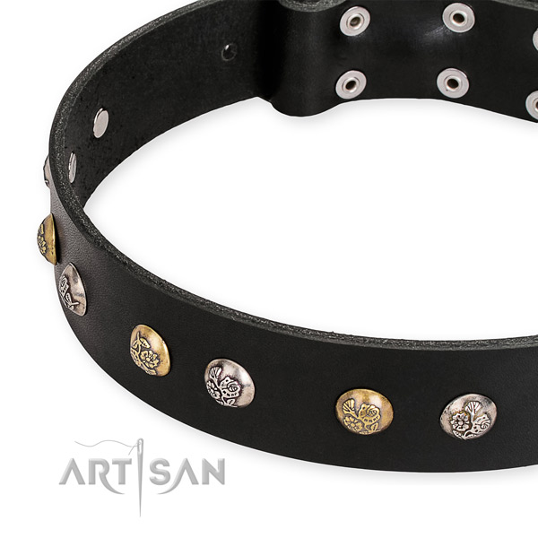 Genuine leather dog collar with remarkable rust resistant embellishments