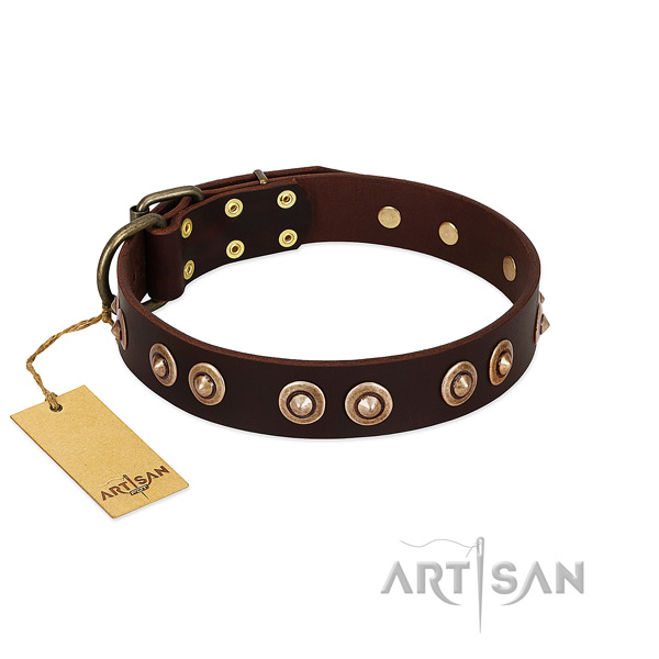 Rust-proof decorations on full grain natural leather dog collar for your pet